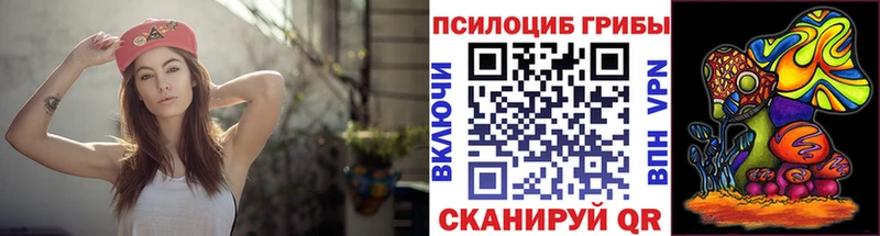 наркошоп  Калининск  Галлюциногенные грибы Psilocybine cubensis 
